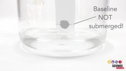 Paper Chromatography Experiments and Explanations Instructional Video
