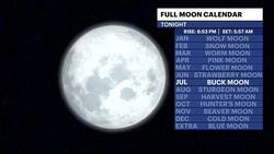 Sun and clouds with chance of afternoon shower for Friday in Brooklyn Instructional Video