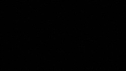 CLEAN : Puigdemont extradition hearing postponed to December News Clip