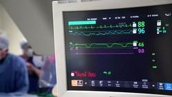 Bioengineering infant heart patches with the baby’s own heart cells - Science Nation Instructional Video