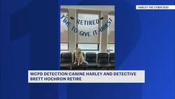 Canine crime fighter retires after years of service News Clip