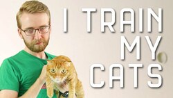 I Train My Cats With PSYCHOLOGY Instructional Video