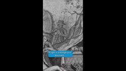 Flight is a dangerous business... Instructional Video