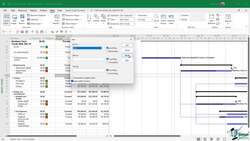 Microsoft Project 2021 From Beginners to Advanced - Sort and Filter Tasks and Resources Instructional Video