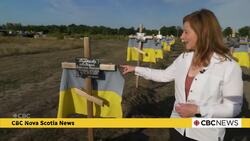 Ukraine continues efforts to identify thousands killed on the front line. News Clip