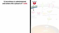 Immunomodulators Part 1: Immunosuppressants Instructional Video