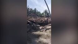 Trained elephants used to clear debris after Indonesia floods Instructional Video