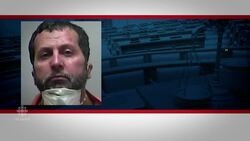 New details emerge about alleged airport attacker News Clip