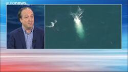 Japan to restart commercial whaling in 2019 News Clip