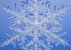 Snowflakes Instructional Video