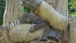 Giant interactive gorilla sculpture is unveiled at Bristol Zoo Gardens News Clip