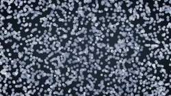 The Importance and Applications of Hydrogen Instructional Video