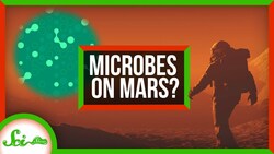 Microbes Might Survive on Mars | SciShow News Instructional Video