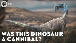 Was This Dinosaur a Cannibal? Instructional Video