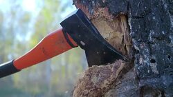 Detail of lumber jack chopping firewood with an axe for winter time. Close up of woodcutter splits wood, rural scene. Preparation logs for cold wintertime in high definition Stock Footage
