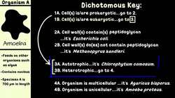 Dichotomous Keys: Identification Achievement Unlocked Instructional Video