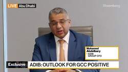 ADIB CFO: To Continue Supporting Presence in Egypt News Clip