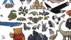 ¿Por Qué Los Murciélagos Transmiten Tantas Enfermedades (como el Coronavirus)? Instructional Video