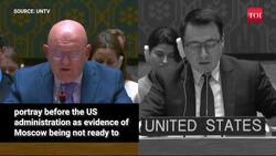 'You Gotta Stop Ukraine First': Russia Vs US Fight Rocks UNSC; Big Clash Between Trump, Putin Aides News Clip