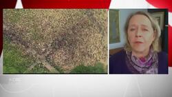 Thousands rally against police violence in London News Clip