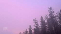 #TheMoment a rare pink fog blanketed B.C.'s Okanagan News Clip