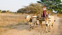 Izquierda vs Derecha Instructional Video