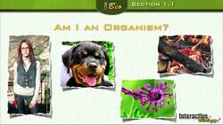 What is Biology - Part 1: Lecture 1.1 Instructional Video