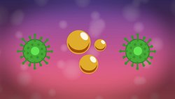 Culturing Microorganisms Part 1 Instructional Video