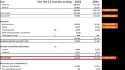 Financial Analysis of a Mid-Sized Public Company Instructional Video