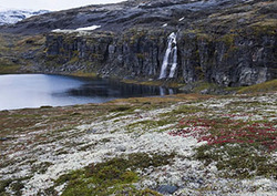 Tundra Instructional Video