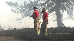 Firefighters tackle forest fire in Worcestershire News Clip