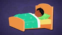 I WONDER - Is The Brain Working When We Sleep? Instructional Video