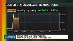 Trump Tariffs on Mexico Would Hurt U.S. Businesses: Professor Lovely News Clip