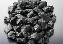 The Carbon Family - Reducing Emissions Instructional Video