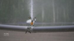 Alberta launches watercraft inspections to stop invasive species from crossing borders News Clip