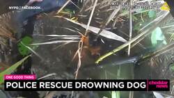 One Good Thing: Police Rescue Drowning Dog News Clip