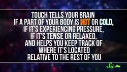 Hacking the Brain: The Future of Prosthetics Instructional Video