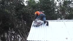 CLEAN : Madagascans reinforce their roofs before Cyclone Batsirai hits News Clip