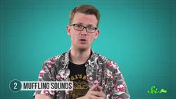 7 Wacky Ways Birds Use Feathers Instructional Video