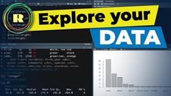 Explore your data using R programming Instructional Video