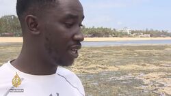 Coral reefs under threat News Clip