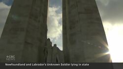 Newfoundlanders pay tribute to Unknown Soldier of the First World War News Clip