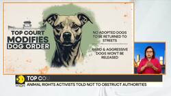 Supreme court orders action against street feeders, stray dogs to be sterilised and released News Clip