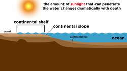 The Layers of the Ocean Instructional Video