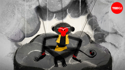 TED-Ed: The real tale of the Monkey King in Heaven | Ji Hao Instructional Video