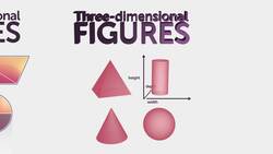 Cross Sections Instructional Video