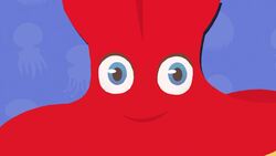 Five Facts - Invertebrates Instructional Video