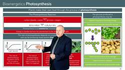 Photosynthesis and Factors Affecting its Rate in Plants Instructional Video