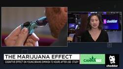 FDA Backs Cannabis-Based Drug News Clip