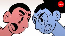 TED-Ed: The sibling rivalry that divided a town | Jay Van Bavel and Dominic Packer Instructional Video